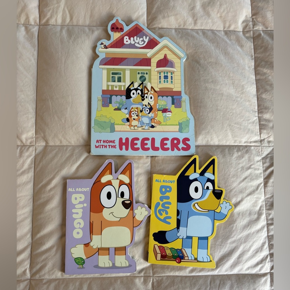 ⭐️ Bluey and Bingo Book Lot